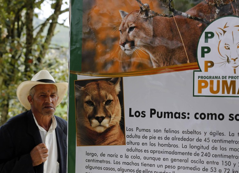 A los habitantes rurales se les concientiza para proteger el puma. Acá, vereda San José de la Ahumada. FOTO Henry Agudelo