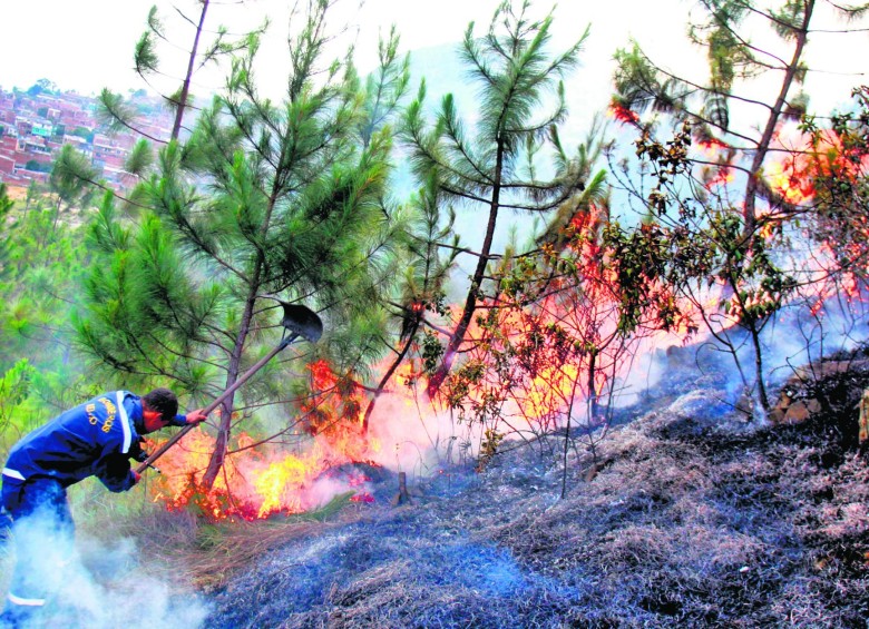 En el mes de junio, los organismos de socorro atendieron 154 incendios de ellos, 80 forestales. FOTO juan antonio sánchez