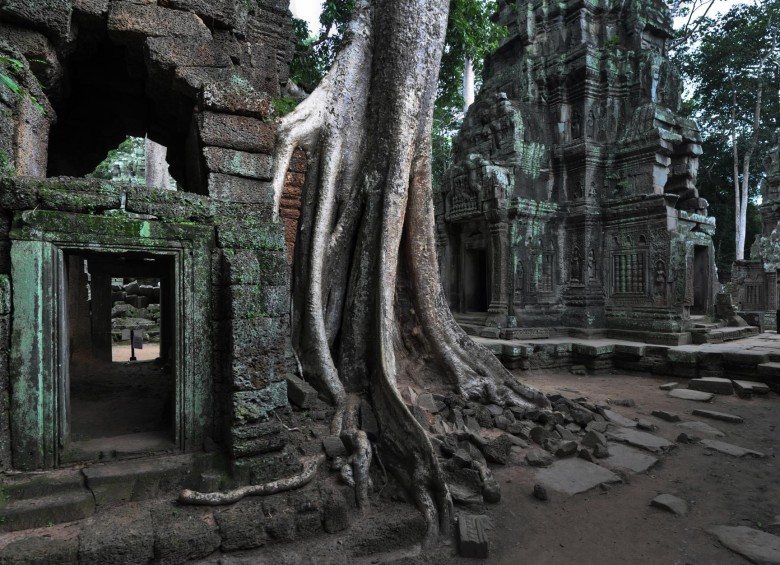 La principal atracción cultural y turística de la zona es Angkor, que se encuentra a 8 km al norte del centro de la ciudad. FOTO: Shutterstock