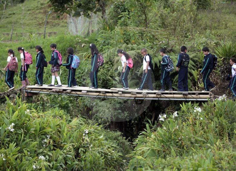 Por puentes de guadua y trochas deben caminar los estudiantes de la vereda Santa Rita, en el municipio de Ituango, en el norte de Antioquia. FOTO manuel saldarriaga