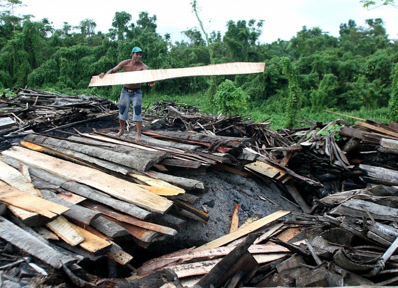 Las prácticas insostenibles y la deforestación, al tiempo que en algunos países las comunidades locales siguen sin beneficiarse lo suficiente de los bosques. FOTO Edwin Bustamante 