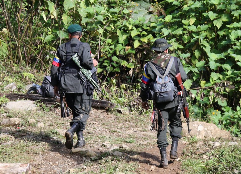 Según Benedetti, a jefes guerrilleros les ofrecen hasta 10 millones para irse a otros grupos ilegales. FOTO: DONALDO ZULUAGA