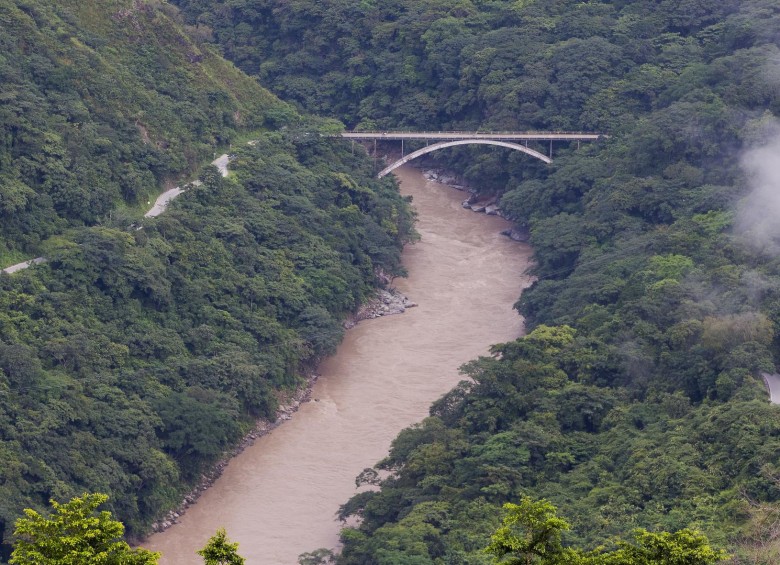 FOTO ARCHIVO (DONALDO ZULUAGA)