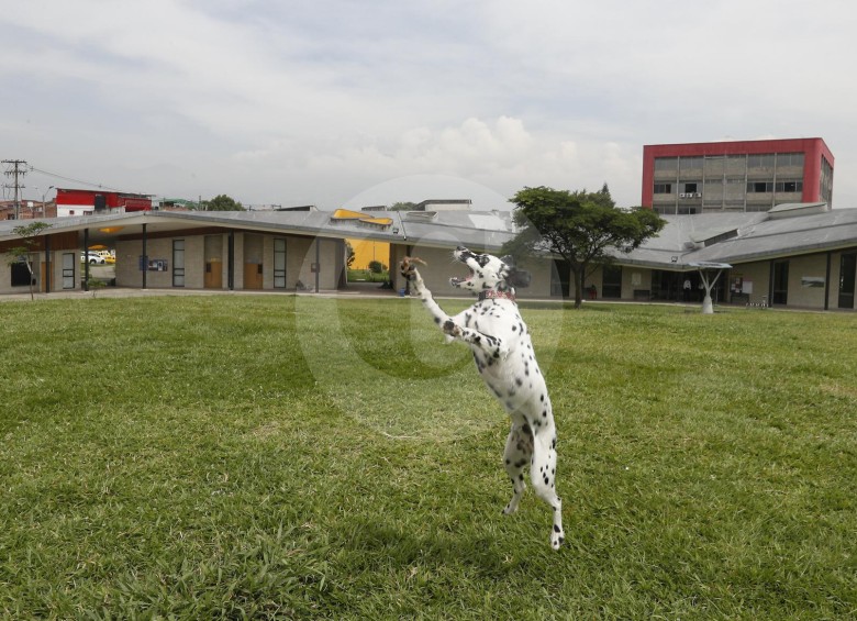 Un sector de la comunidad de Guayabal afirma que su lucha de seis años no es contra las mascotas sino para que se ejecute la segunda fase del Parque Biblioteca. FOTO manuel saldarriaga