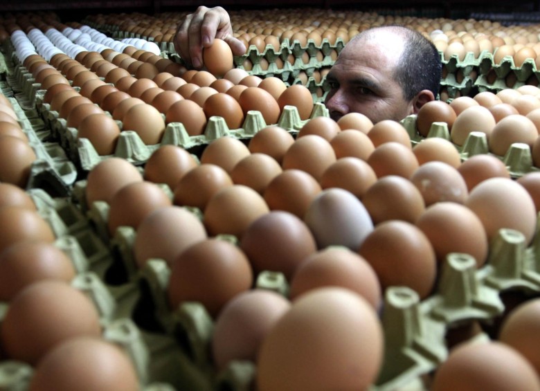 Una de las aspiraciones de la Federación Nacional de Avicultores de Colombia la pretensión es que en el mediano plazo los colombianos consuman un huevo al día. FOTO Manuel Saldarriaga