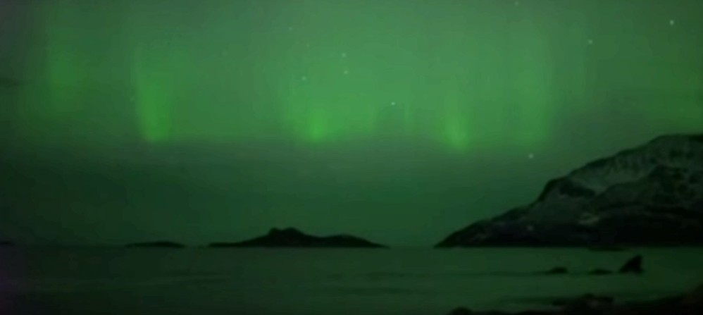 En el norte de Noruega se pudo apreciar un baile de ballenas jorobadas e plena aurora boreal. FOTO CORTESÍA