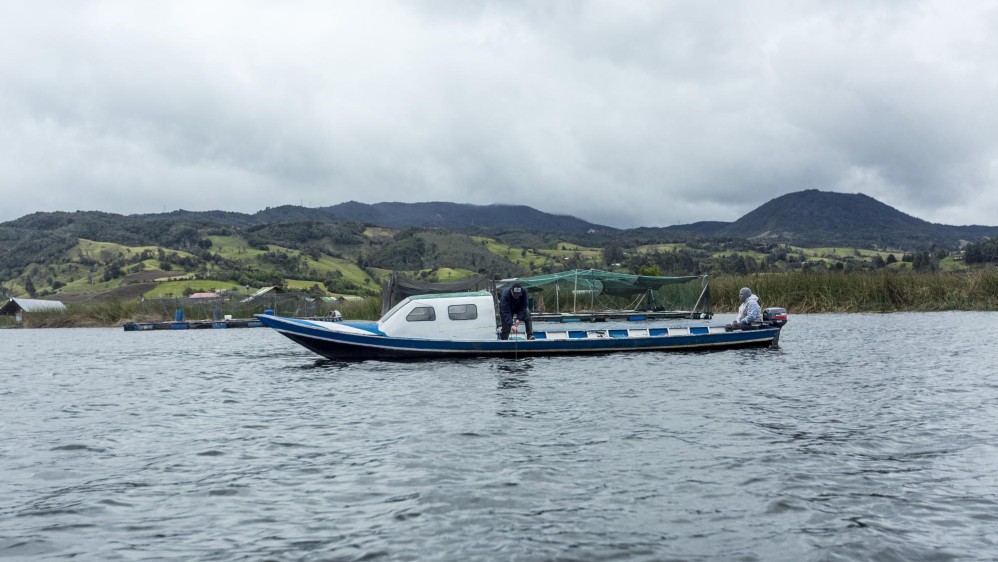 El santuario de fauna y flora isla de la Corota está ubicado en la laguna de cocha una de las mas grandes de Colombia en pasto. Foto: Camilo Suárez Echeverry.