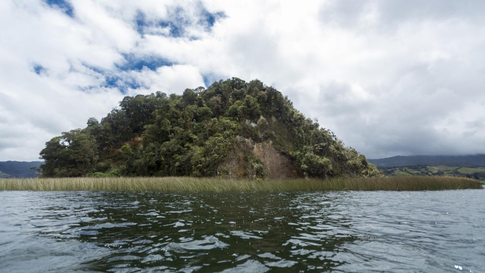 El santuario de fauna y flora isla de la Corota está ubicado en la laguna de cocha una de las mas grandes de Colombia en pasto. Foto: Camilo Suárez Echeverry.