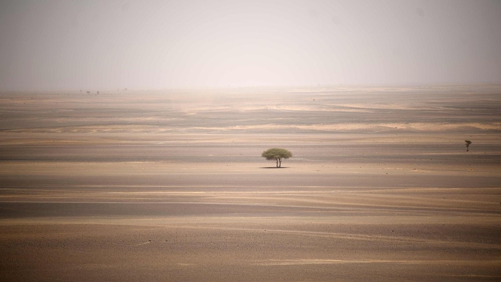 Cientos de atrevidos ciclomontañistas se enfrentan a las dunas del desierto del Sahara en la carrera Titan Desert de 6 días. Toda una hazaña para quienes logran atravesar el desierto sobre las dos ruedas. Foto: Franck Fife, AFP