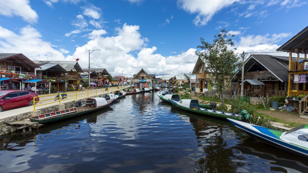 El santuario de fauna y flora isla de la Corota está ubicado en la laguna de cocha una de las mas grandes de Colombia en pasto. Foto: Camilo Suárez Echeverry.