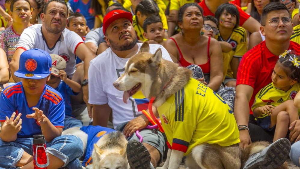 Las mascotas acompañaron a sus amos a ver el partido en los alrededores del estadio Atanasio Girardot. FOTO ANDRÉS CAMILO SUÁREZ