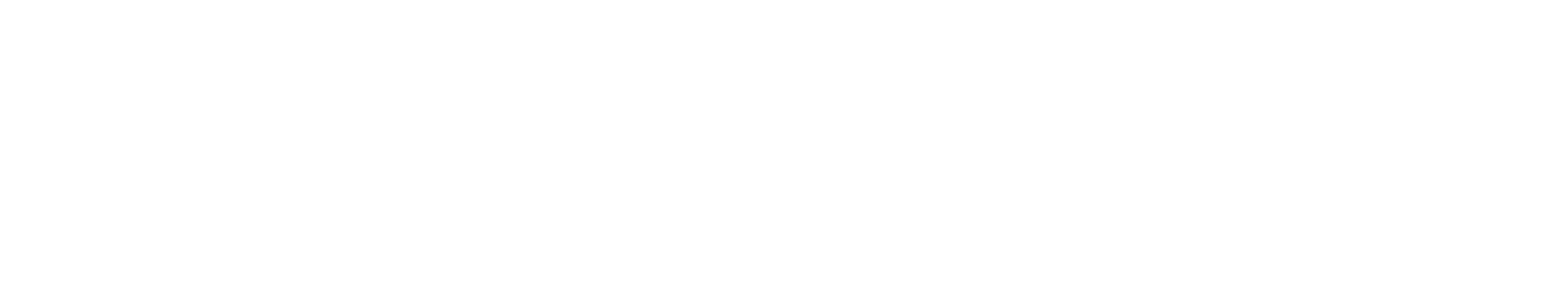 Logo Velez