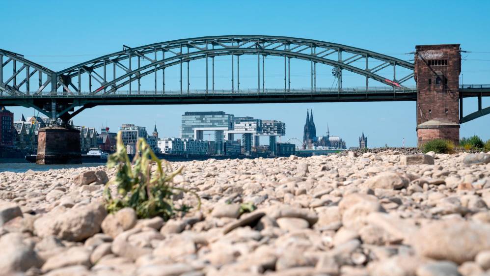 En Colonia, Alemania el caudal del río Rin ha desaparecido casi por completo. Foto: Getty