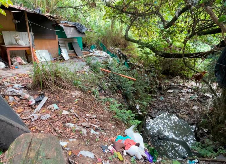 Tumbaron 10 construcciones ilegales en zona de alto riesgo en el occidente de Medellín