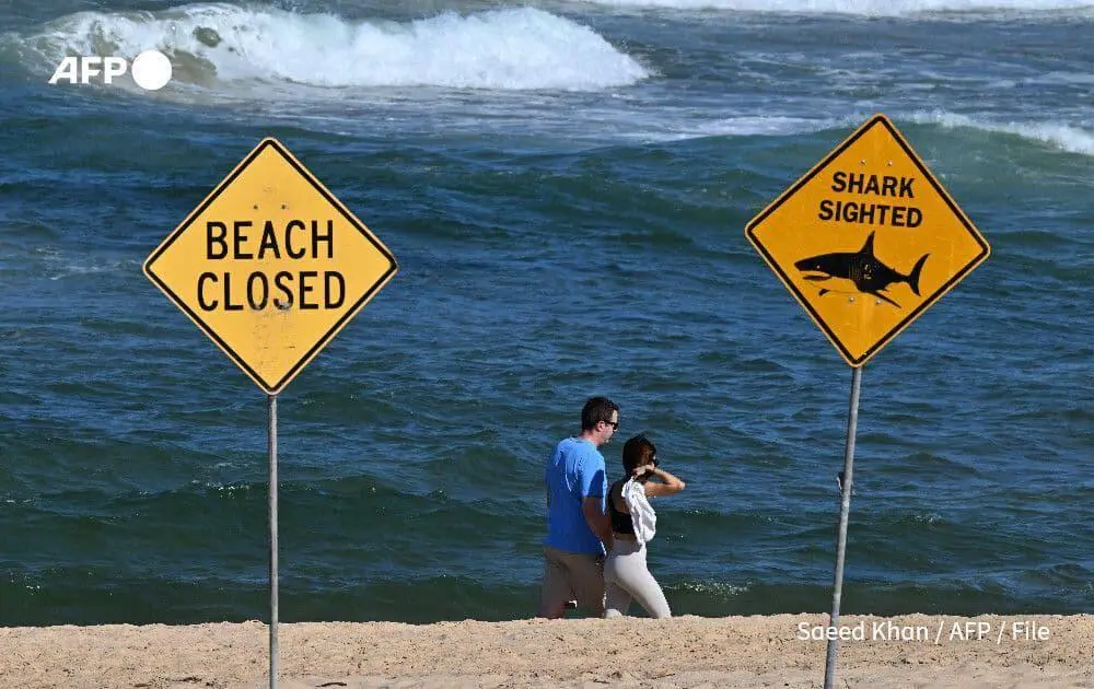 La playa fue cerrada tras el ataque de tiburón que dejó una víctima mortal y un herido en la costa de Nueva Gales del Sur. FOTO: AFP. 