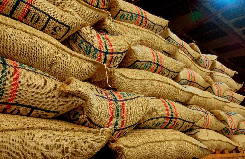 En el frente comercial, el gerente de la Federación señaló que las exportaciones durante el año cafetero, que comenzó en octubre, sumaron 4,2 millones de sacos, con una caída del 10%. FOTO: FNC.
