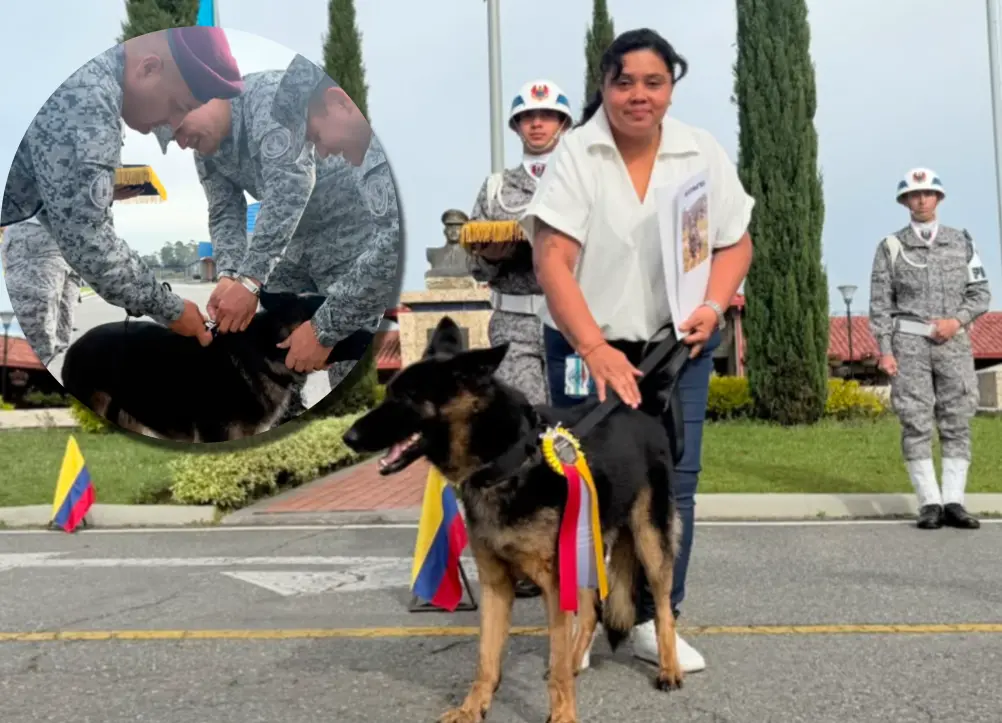 Tras culminar su servicio, fue entregada a una familia que cumplió con los requisitos para adoptarla. Foto: cortesía Fuerza Aeroespacial Colombiana.