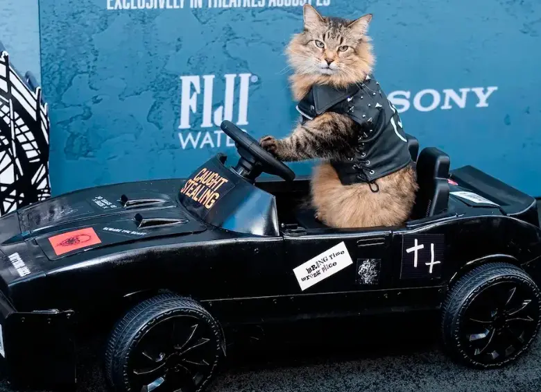 Tonic, el gato de la película “Atrapado Robando”