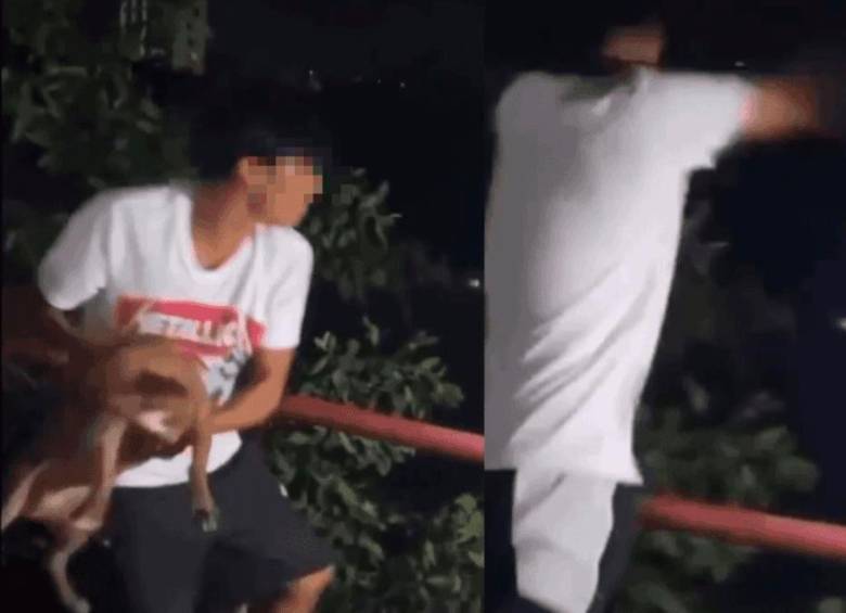 Los implicados relataron que el canino se encuentra fuera de peligro. FOTO CORTESÍA 