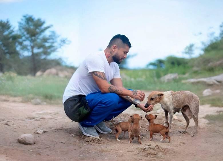 Ángel de animales callejeros: médico ha esterilizado 60.000 perros y gatos viajando por Colombia