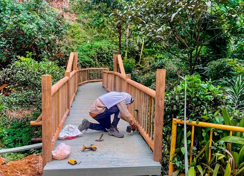Los puentes se construyen en madera inmunizada para asegurar mayor durabilidad. FOTO: ALCALDÍA