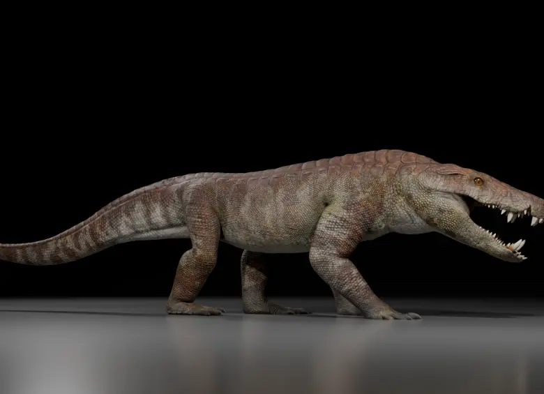 Recreación científica del Kostensuchus atrox, el cocodrilo carnívoro que habitó la Patagonia hace 70 millones de años. FOTO cortesía Daniel Díaz Yanten