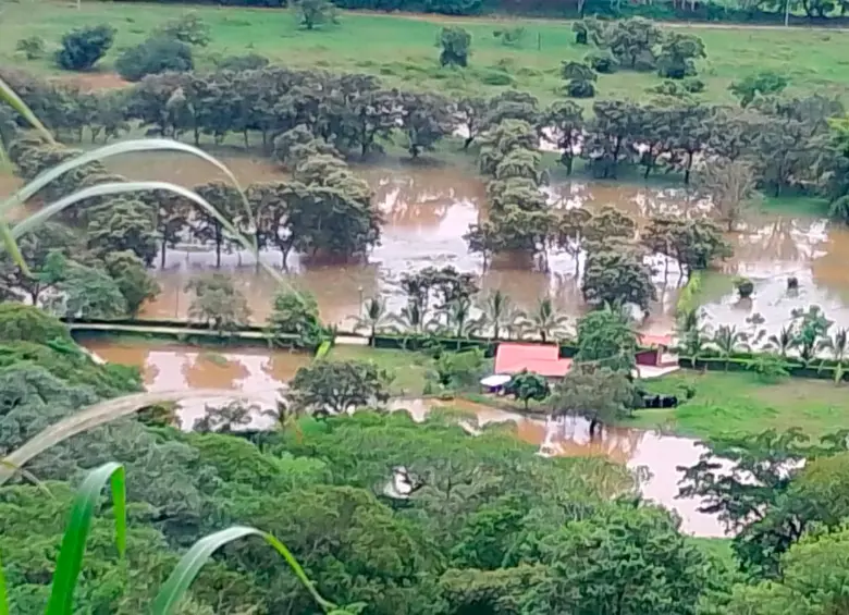 “En 70 años nunca había pasado esto”: en el norte de Antioquia llevan dos semanas inundados y denuncian negligencia de autoridades