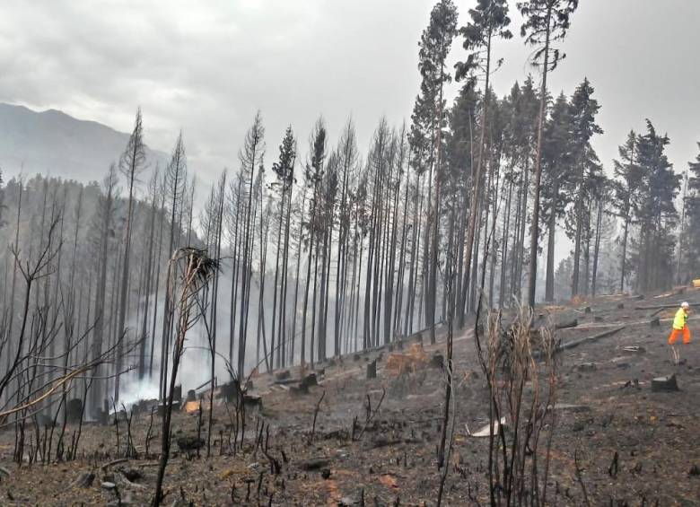 Las provincias más afectadas por los incendios en la Patagonia son Río Negro y Chubut. FOTO Efe