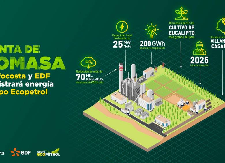 Construirán planta de biomasa para suministrar energía eléctrica a Ecopetrol