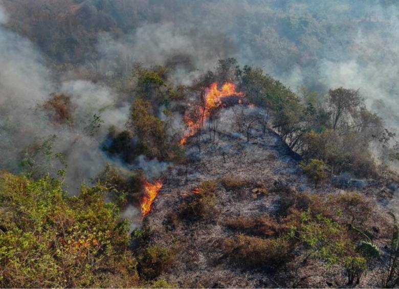 Según el último reporte de la Ungrd, el Tolima es el departamento con la mayor afectación con cuatro incendios activos. Foto. Colprensa. 