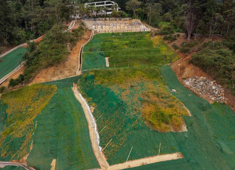 La fase final de los trabajos consistió en el restablecimiento de la vegetación para ayudar a darle estabilidad al terreno. FOTO: ALCALDÍA