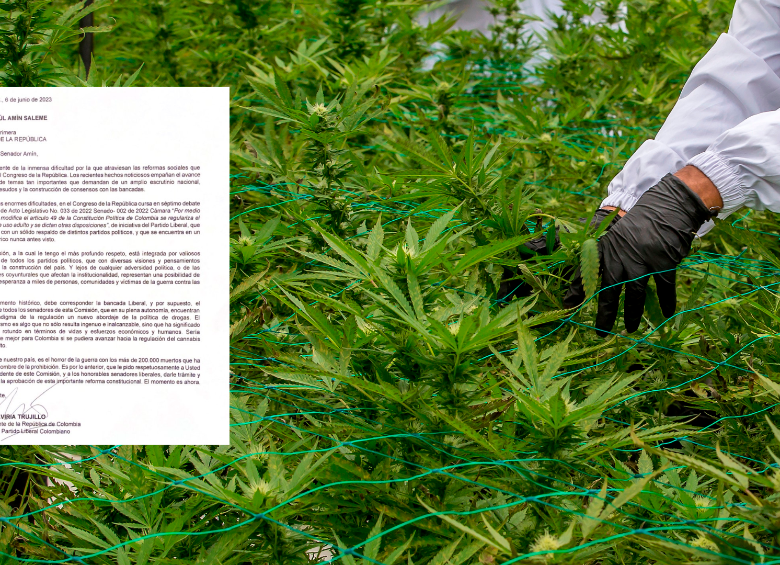 La regularización del cannabis podría representale al país ingresos hasta por 400 millones de dólares al año. FOTO JUAN ANTONIO SÁNCHEZ OCAMPO 