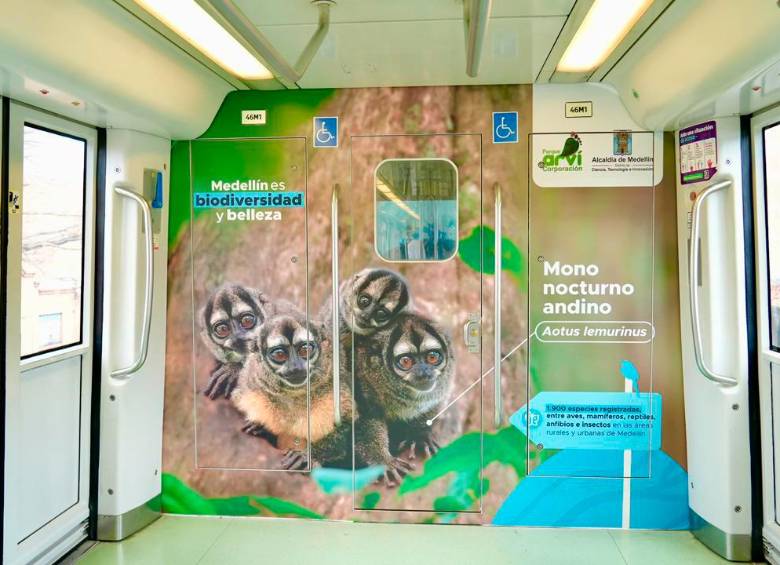 Entre el 28 de septiembre y el 10 de octubre Medellín será sede del Climate Week 2026. FOTO Cortesía.