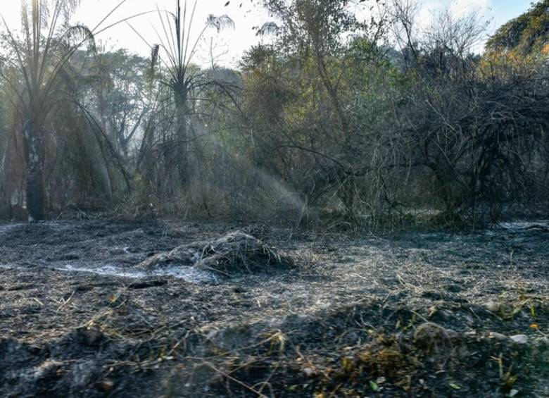 Ya van miles de hectáreas afectadas por los incendios forestales en diferentes departamentos del país. Foto: Colprensa.
