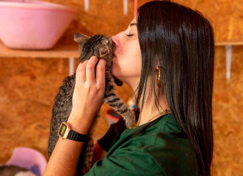 Ojo al dato: Humanos transmiten más virus a los animales, que los animales a los humanos, revela estudio