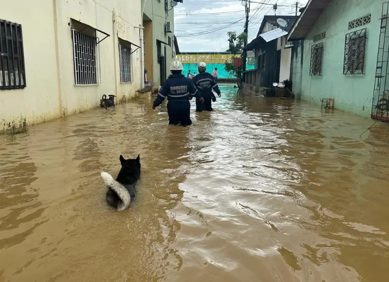 Así se encuentran las zonas residenciales y locales por la ola invernal en El Bagre. FOTO: Cortesía 40 Grados El Informativo