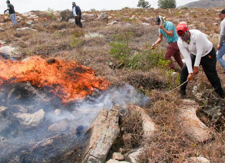 Cientos de personas trabajan para apaciguar las llamas. Foto: Colprensa.