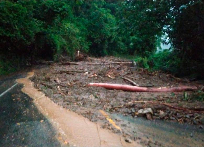 Un nuevo cierre total se presenta en la vía Medellín-Bogotá por la caída de árboles y tierra. FOTO CORTESÍA