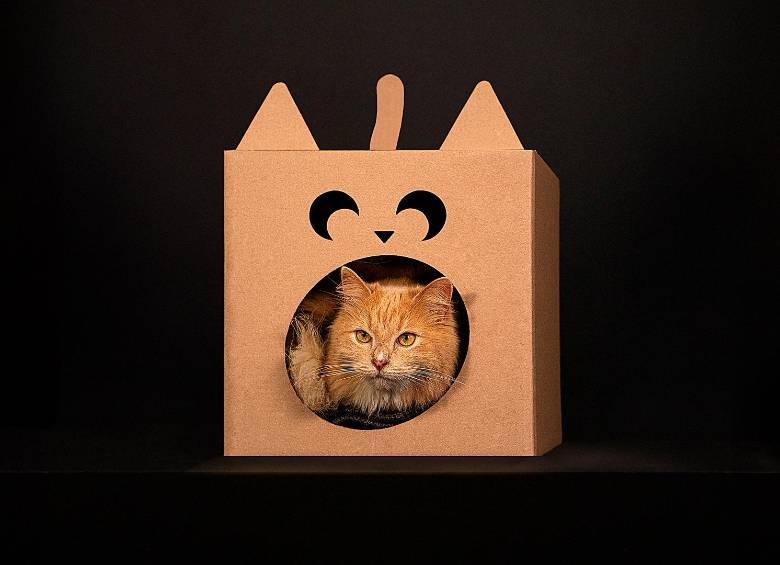 Las cajas para perros y gatos vienen en dos tamaños diferentes. Foto: Cortesía