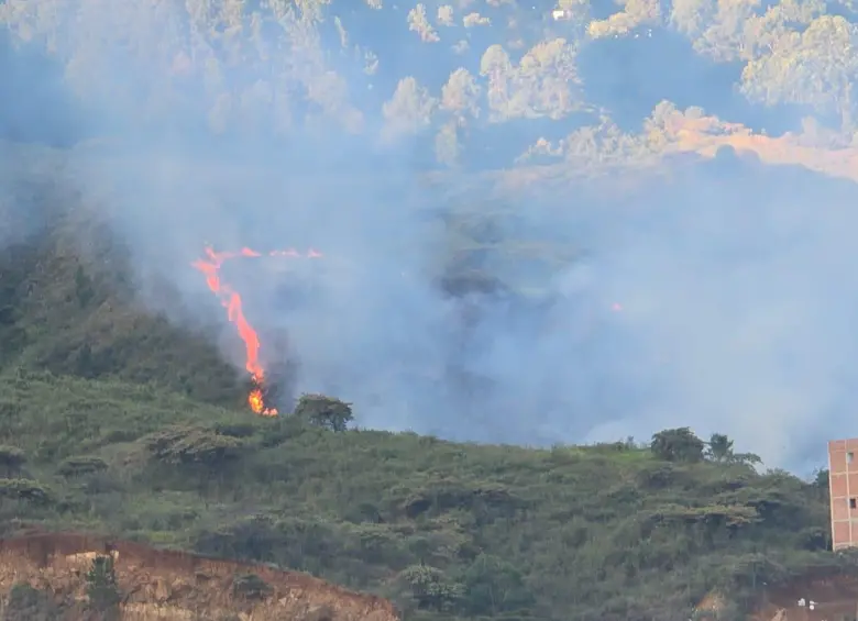 Imágenes del incendio registrado este 21 de julio de 2026 en el Cerro Quitasol FOTO: Santiago Olivares T.