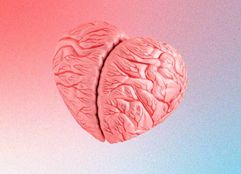 ¿Cómo reacciona el cerebro cuando sentimos amor?