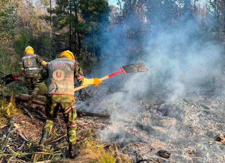 Controlan incendio forestal en Guatavita. FOTO: COLPRENSA