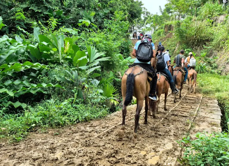 Aunque el retorno de estas familias es un gran avance, aún faltan cientos o miles de personas que todavía no han podido volver a sus tierras. FOTO: CORTESÍA FORJANDO FUTUROS 