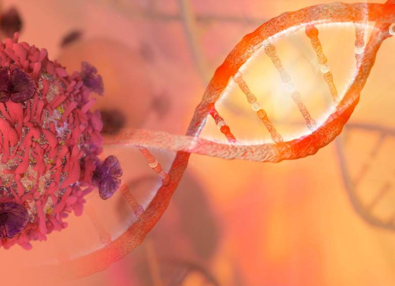 La biología molecular, que estudia, entre otras cosas, los genes, puede llevar al descubrimiento de información relevante para entender el cáncer. FOTO SSTOCK.