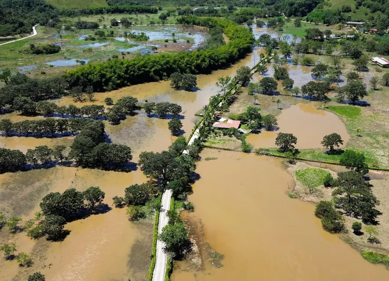 Veredas de Donmatías y Santa Rosa de Osos estuvieron durante casi dos semanas con este panorama. FOTO: MANUEL SALDARRIAGA
