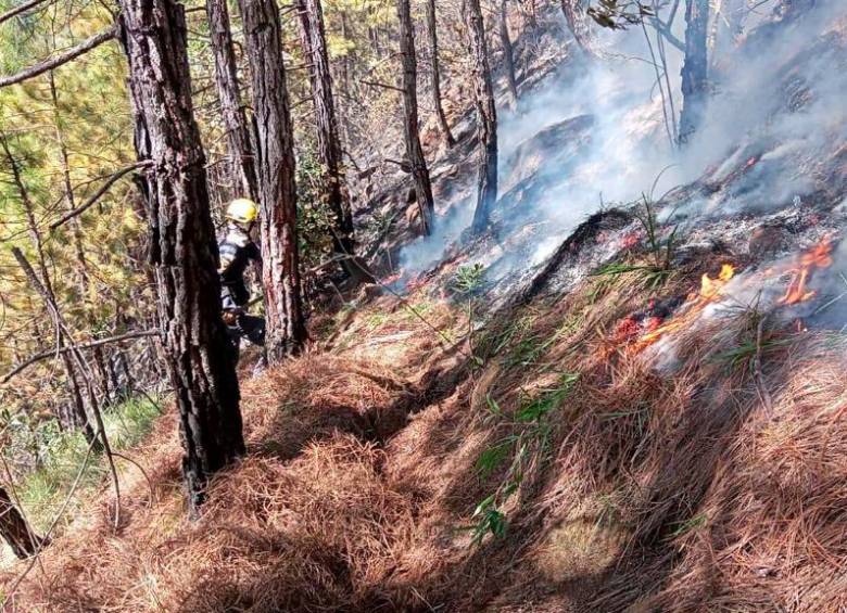 Más de 5.000 galones de agua se necesitaron para extinguir las llamas. Foto: Alcaldía de Bello
