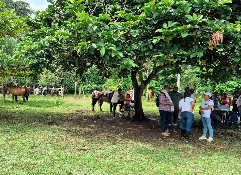 A las doce familias ya les permitieron el ingreso a su finca y han comenzado a hacer sus sembrados. FOTO: CORTESÍA FORJANDO FUTUROS