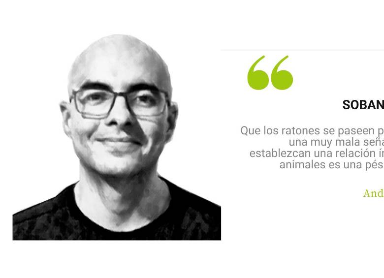 Sobando ratones