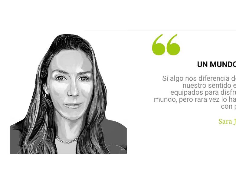 Un mundo de pájaros