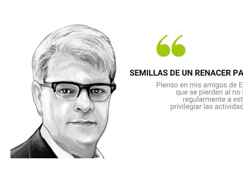 Semillas de un renacer para Medellín